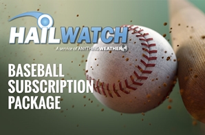 Baseball Monthly Subscription 