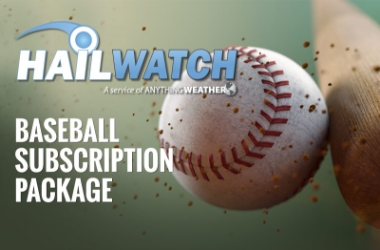 Baseball Annual Subscription 