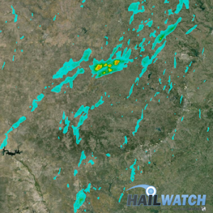 Hail Report for Carrizo Springs, TX | March 8, 2016 