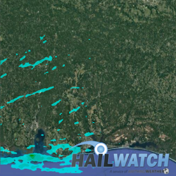 Hail Report for Dauphin Island, AL | February 7, 2017 