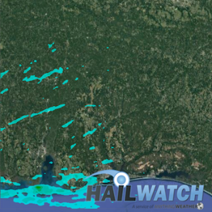 Hail Report for Dauphin Island, AL | February 7, 2017 