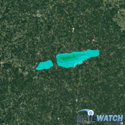 Hail Report for Meridian, MS | November 28, 2016 