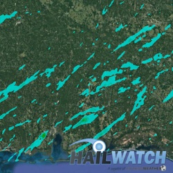 Hail Report for Mobile, AL | January 21, 2017 