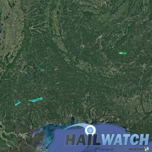 Hail Report for Oak Grove-Lawrence, MS-Tallapoosa, AL | April 19, 2020 