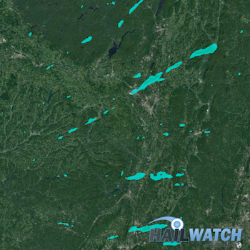 Hail Report for Rotterdam, NY | July 1, 2016 