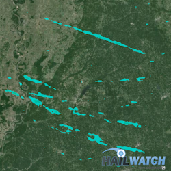 Hail Report for Tallulah, LA | March 17, 2016 