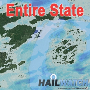 Wind Report for Entire State of Michigan February 24, 2019 