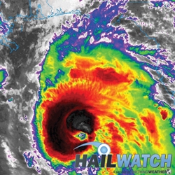 Wind Report for Hurricane Michael | Entire Event 