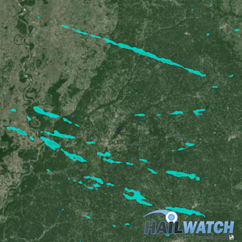 Hail Report for Tallulah, LA | March 3, 2016 